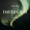 Cover art for The One I Love, Pt. 2 - Single by David Gray