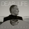 Cover art for Dear Life by David Gray