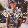 Cover art for Moonwalking in Calabasas (Remix) [feat. Blueface] - Single by DDG