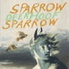 Cover art for Sparrow Sparrow f/w Overrated Species Anyhow - Single by Deerhoof