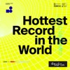 Cover art for Hottest Record in the World - Single by Digitalism