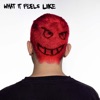 'What It Feels Like - Single' by Dillon Francis