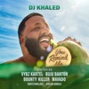 'You Remind Me (feat. Vybz Kartel, Buju Banton, Bounty Killer, Mavado, Rorystonelove & Kaylan Arnold) - Single' by DJ Khaled