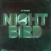 Cover art for Nightbird - Single by DJ Snake