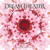 Cover art for Lost Not Forgotten Archives: Live In Tokyo, 2010 by Dream Theater