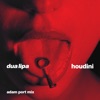 Cover art for Houdini (Adam Port Mix) - Single by Dua Lipa