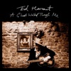 'A Ghost Walked Through Me - Single' by Ed Harcourt