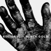 Cover art for Black Gold - Single by Editors