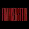 Cover art for Frankenstein (Joyhauser Mix) - Single by Editors