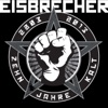 Cover art for Zehn Jahre kalt by Eisbrecher