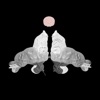 Cover art for Maldito Show - Single by El Cuarteto de Nos