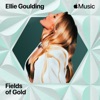 Cover art for Fields Of Gold - Single by Ellie Goulding