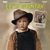 Cover art for Elvis Country (I'm 10,000 Years Old) by Elvis Presley