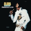 Cover art for Promised Land by Elvis Presley