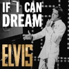 Cover art for If I Can Dream: The Very Best of Elvis by Elvis Presley
