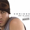 Cover art for Not In Love (Remixes) [feat. Kelis] by Enrique Iglesias