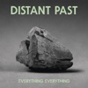 Cover art for Distant Past (Alex Metric Remix) - Single by Everything Everything