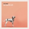 Cover art for Big Fugitive Life - EP by Ezra Furman