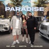 Cover art for Paradise - Single by Fat Joe & Remy Ma