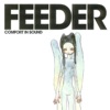 'Comfort in Sound (2025 Remaster) [Expanded Edition]' by Feeder