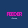 Cover art for Criminal - Single by Feeder
