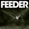 Cover art for Fly - Single by Feeder