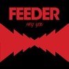 Cover art for Hey You - Single by Feeder