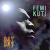 Cover art for Day By Day by Femi Kuti