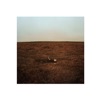 'I Buried All The Answers - Single' by Fink