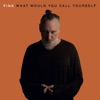Cover art for What Would You Call Yourself - Single by Fink