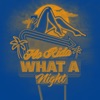 Cover art for What A Night (Tailgate Turn Up) - Single by Flo Rida