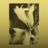 Cover art for 1983 by Flying Lotus