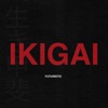 Cover art for Ikigai - Single by FUTURISTIC