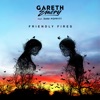 Cover art for Friendly Fires (feat. Dani Poppitt) - Single by Gareth Emery