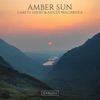 Cover art for Amber Sun - Single by Gareth Emery