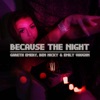 Cover art for Because the Night - Single by Gareth Emery