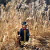 Cover art for The Man - Single by Gigi Perez