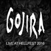 Cover art for Live At Hellfest 2016 by Gojira