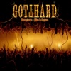Cover art for Homegrown (Alive in Lugano) by Gotthard