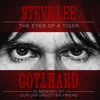 Cover art for Eye Of The Tiger (Acoustic) - Single by Gotthard