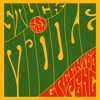 Cover art for Stuck In The Middle - Single by Greentea Peng