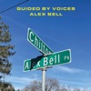 Cover art for Alex Bell / Focus On the Flock - Single by Guided by Voices