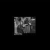 Cover art for Conticinio - Single by Guitarricadelafuente