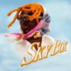 Cover art for SKYBOX - Single by Gunna