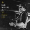 Cover art for The Biggest Hits of Hank Williams, Jr. by Hank Williams, Jr.