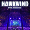 Cover art for Hawkwind: At the Roundhouse (Live) by Hawkwind