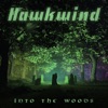 Cover art for Into the Woods by Hawkwind