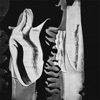 Cover art for Consistent Dedication - Single by Heartworms