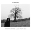 Cover art for Extraordinary Wings (Laurie Vincent Remix) - Single by Heartworms