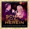 Cover art for Schau mal herein (Luca-Dante Spadafora Remix) - Single by Helene Fischer